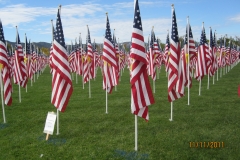 Field of Honor, Murrietta Flag Event, Nov 2011